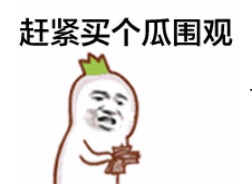 吃瓜表情怎么回复